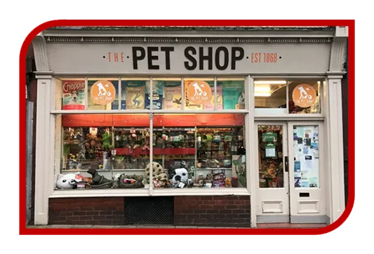 Desenvolvimento de Sites para Petshop
